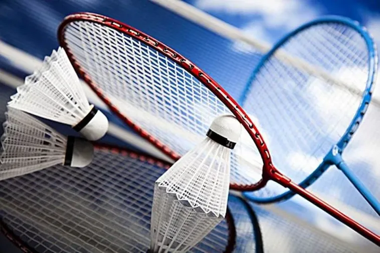 Cách Chơi Cá Cược Cầu Lông Tại W88 Chi Tiết Luật Kèo Và Kinh Nghiệm Thắng Lớn