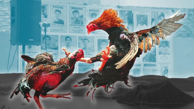 Cách Chơi Đá Gà Sabong Tại W88 Hiểu Luật Cược Và Mẹo Dễ Thắng