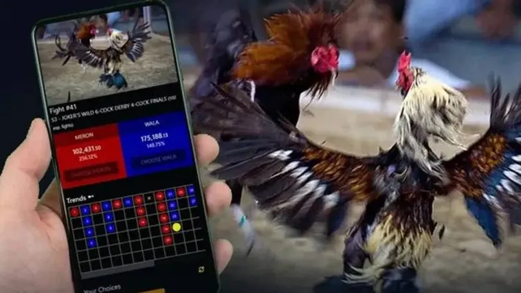 Trải Nghiệm Đá Gà W88 Kịch Tính Với Tỷ Lệ Cược Hấp Dẫn Và Minh Bạch