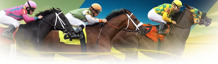 Tìm Hiểu Cá Cược Đua Ngựa W88 Với Hình Thức Chơi Và Tỷ Lệ Hấp Dẫn 1 Tìm Hiểu Cá Cược Đua Ngựa W88 Với Hình Thức Chơi Và Tỷ Lệ Hấp Dẫn